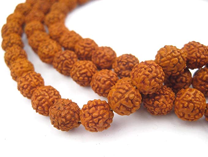 The Story Behind Rudraksha – Shiva’s Sacred Tears