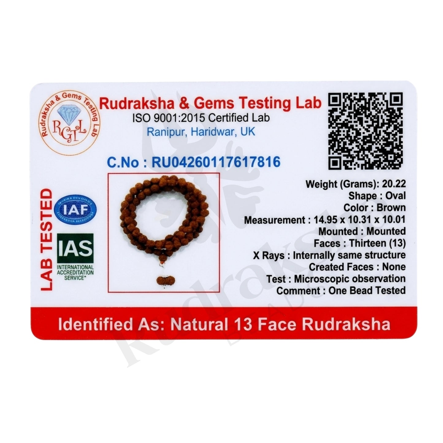Charm 13 Mukhi Rudraksha Mala (Indonesia)