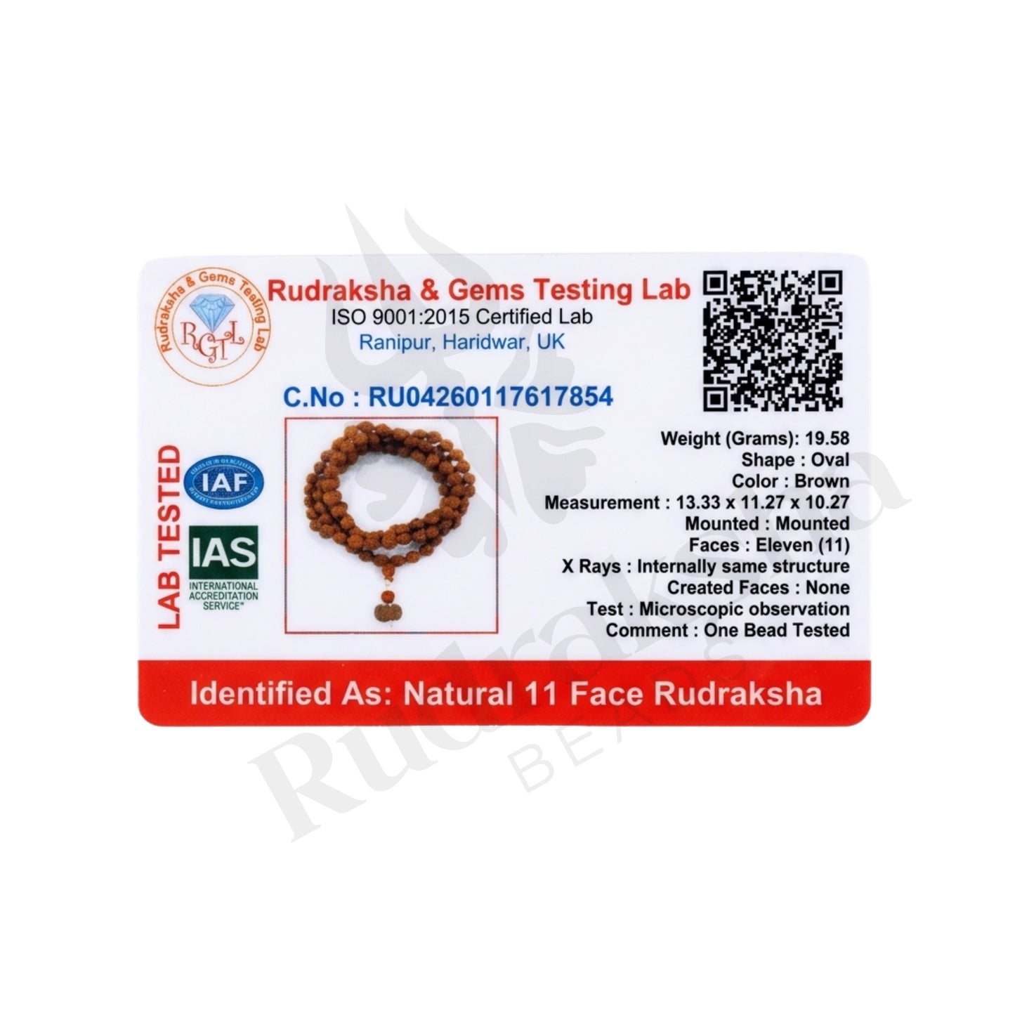 Valor 11 Mukhi Rudraksha Mala (Indonesia)