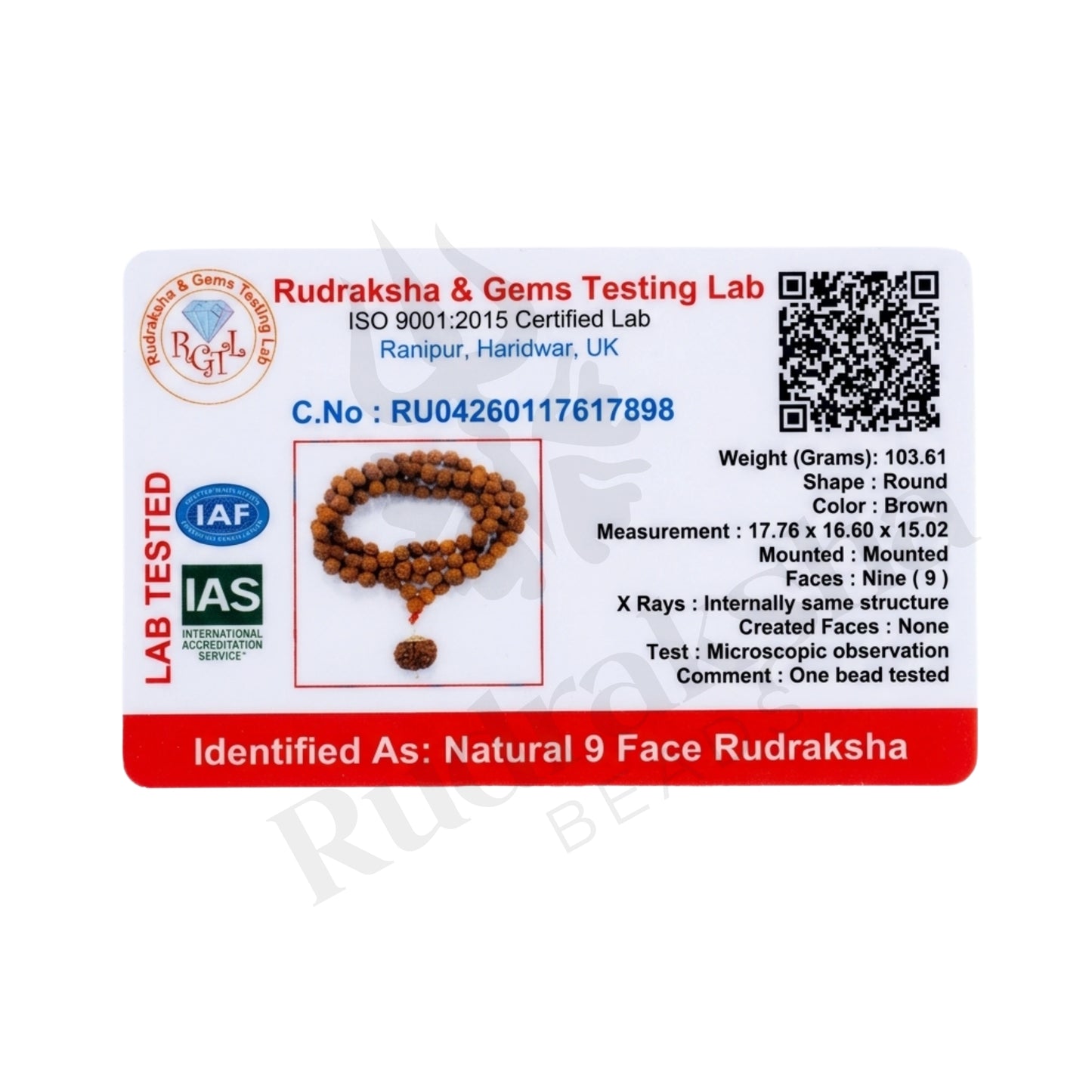 Shield 9 Mukhi Rudraksha Mala (Indonesia)
