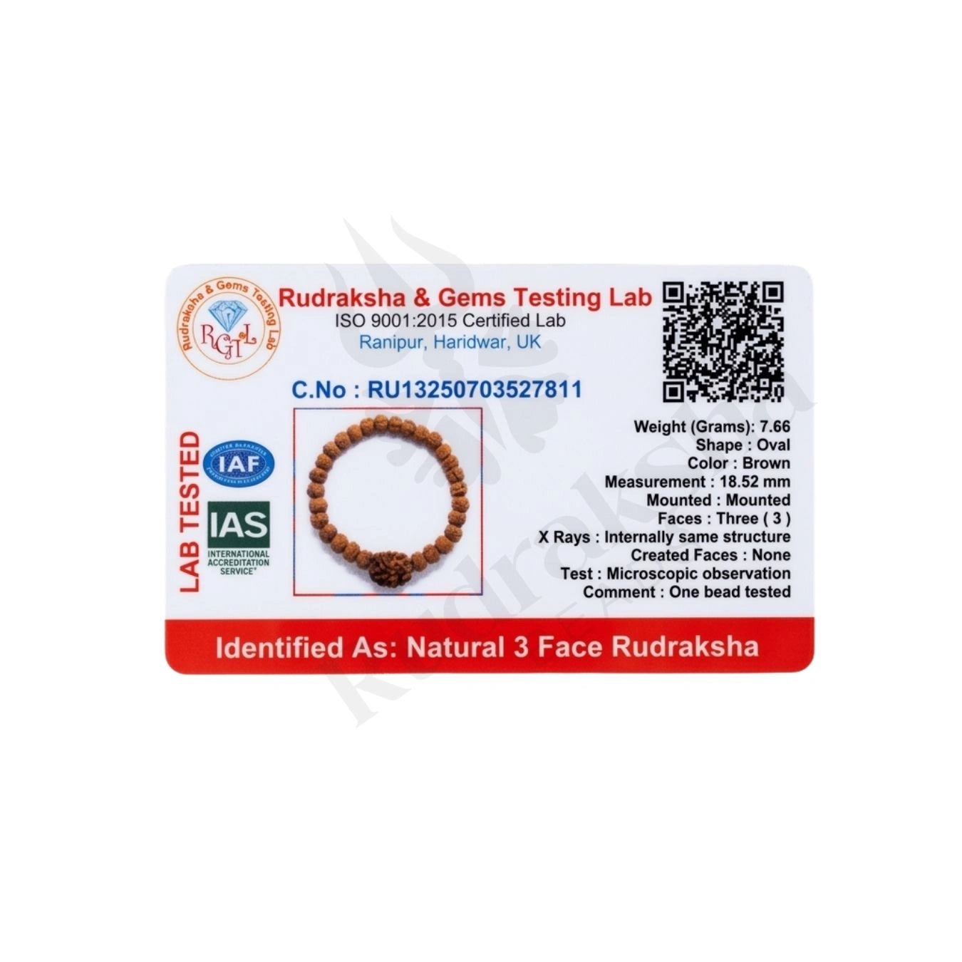 3 MUKHI RUDRAKSHA BRACELET (HIMALAYAN) Agni Transformation Bracelet