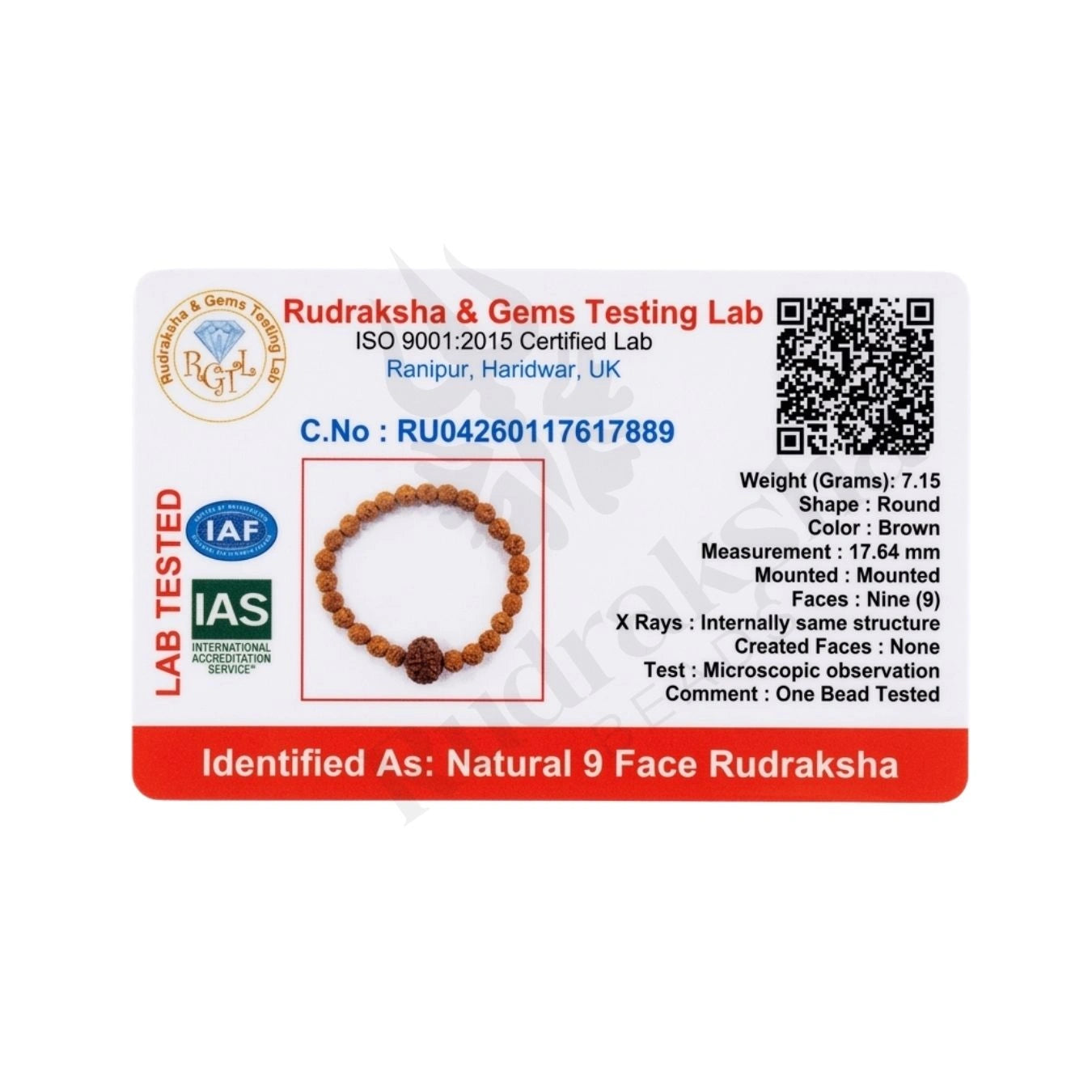 9 MUKHI RUDRAKSHA BRACELET (INDONESIAN) Durga Protection Bracelet