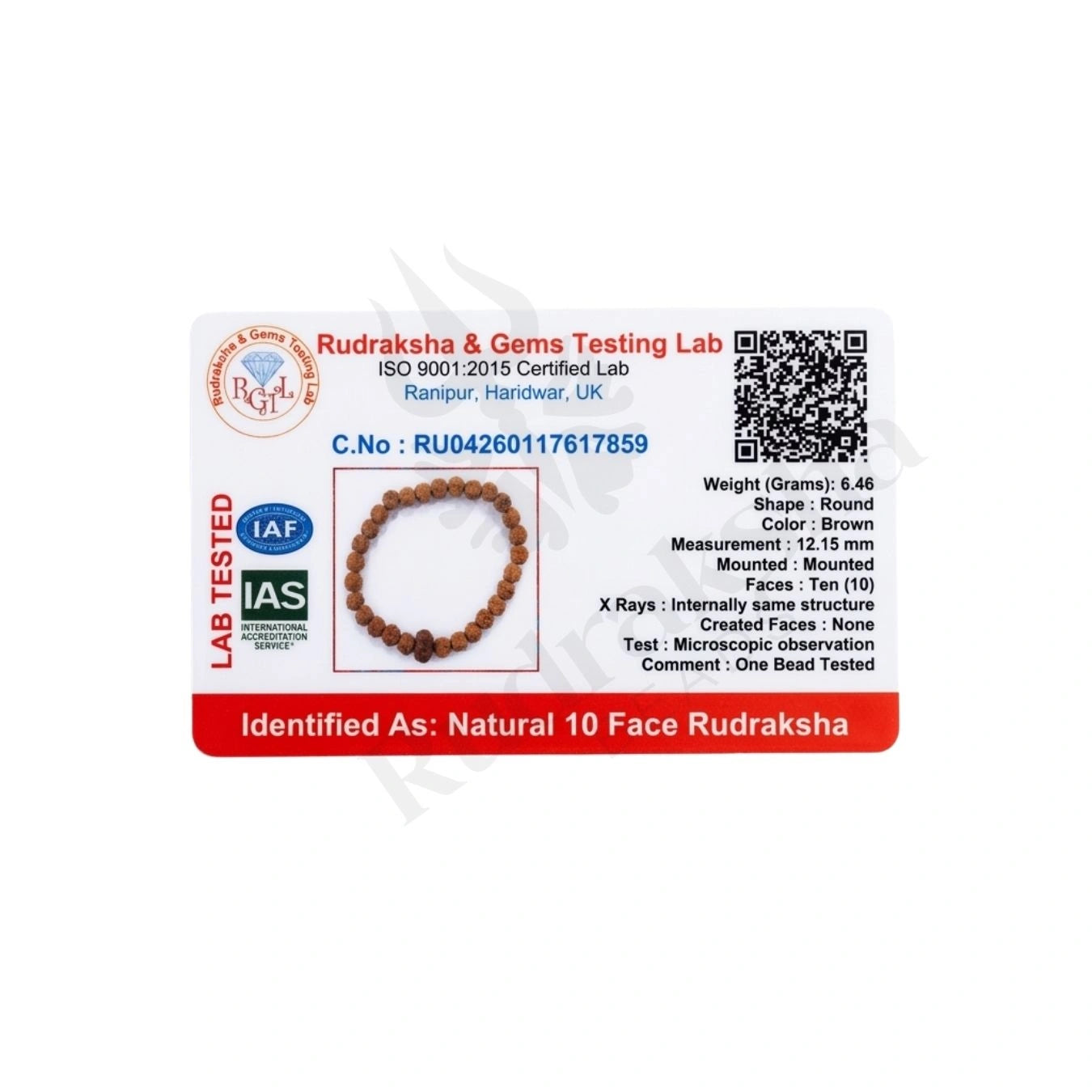 10 MUKHI RUDRAKSHA BRACELET (INDONESIAN) Vishnu Shield Bracelet