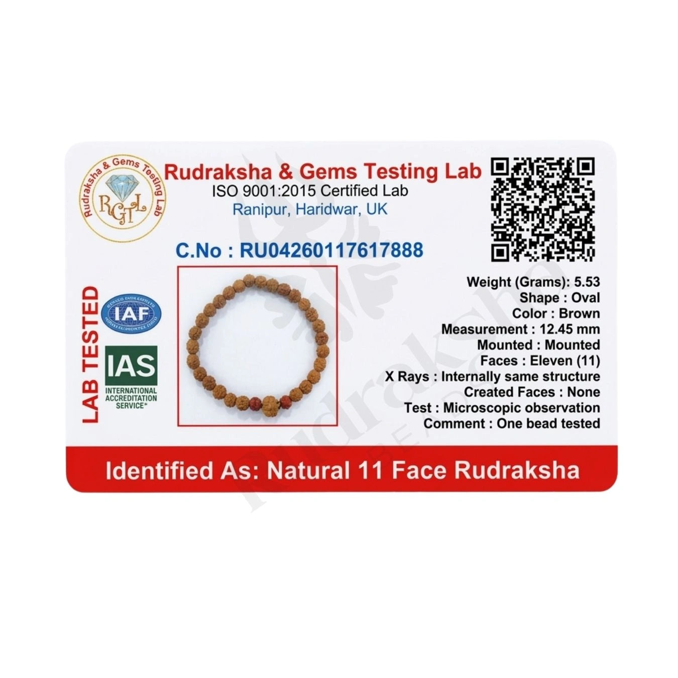 11 MUKHI RUDRAKSHA BRACELET (INDONESIAN) Hanuman Courage Bracelet