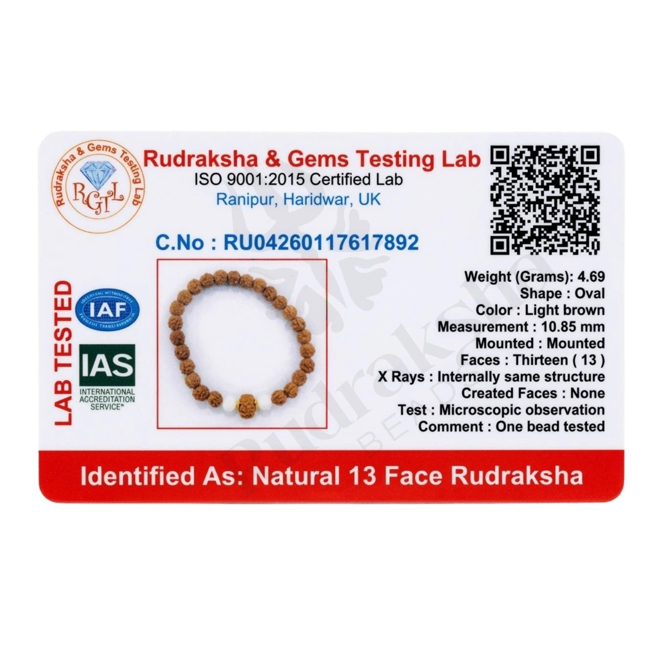 13 MUKHI RUDRAKSHA BRACELET (INDONESIAN) Attraction Bracelet
