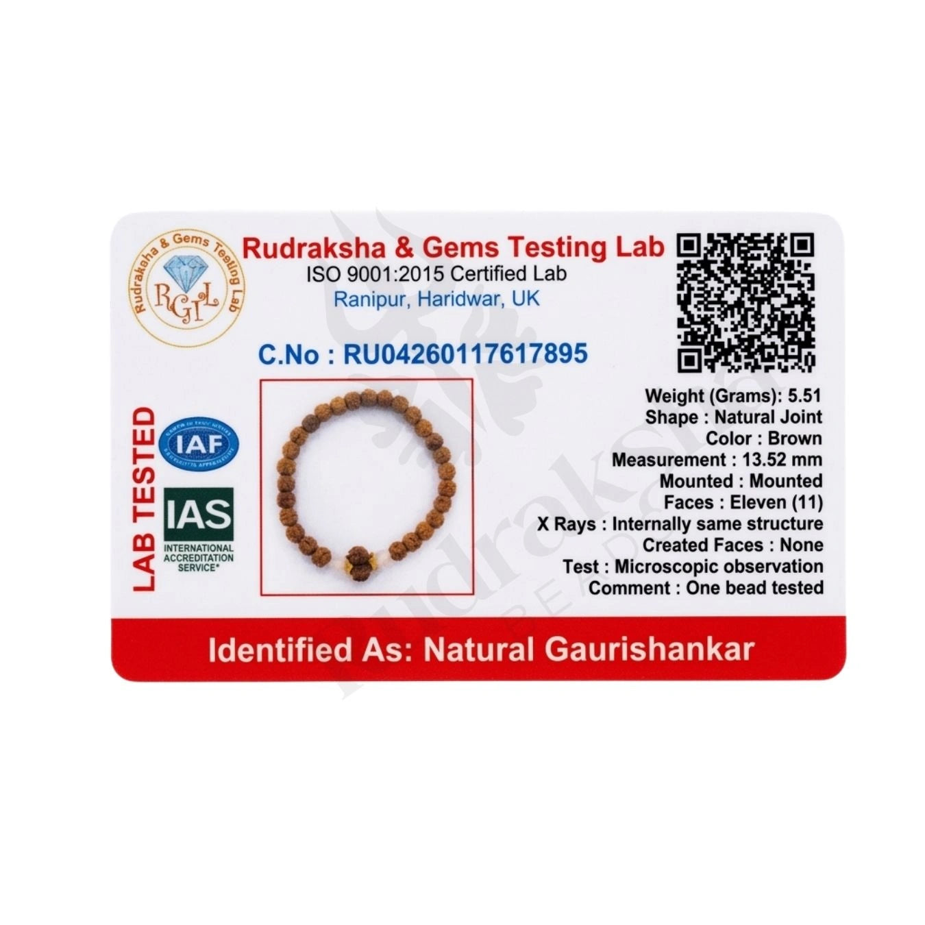 GAURI SHANKAR RUDRAKSHA BRACELET (NEPALI) Love Harmony Bracelet