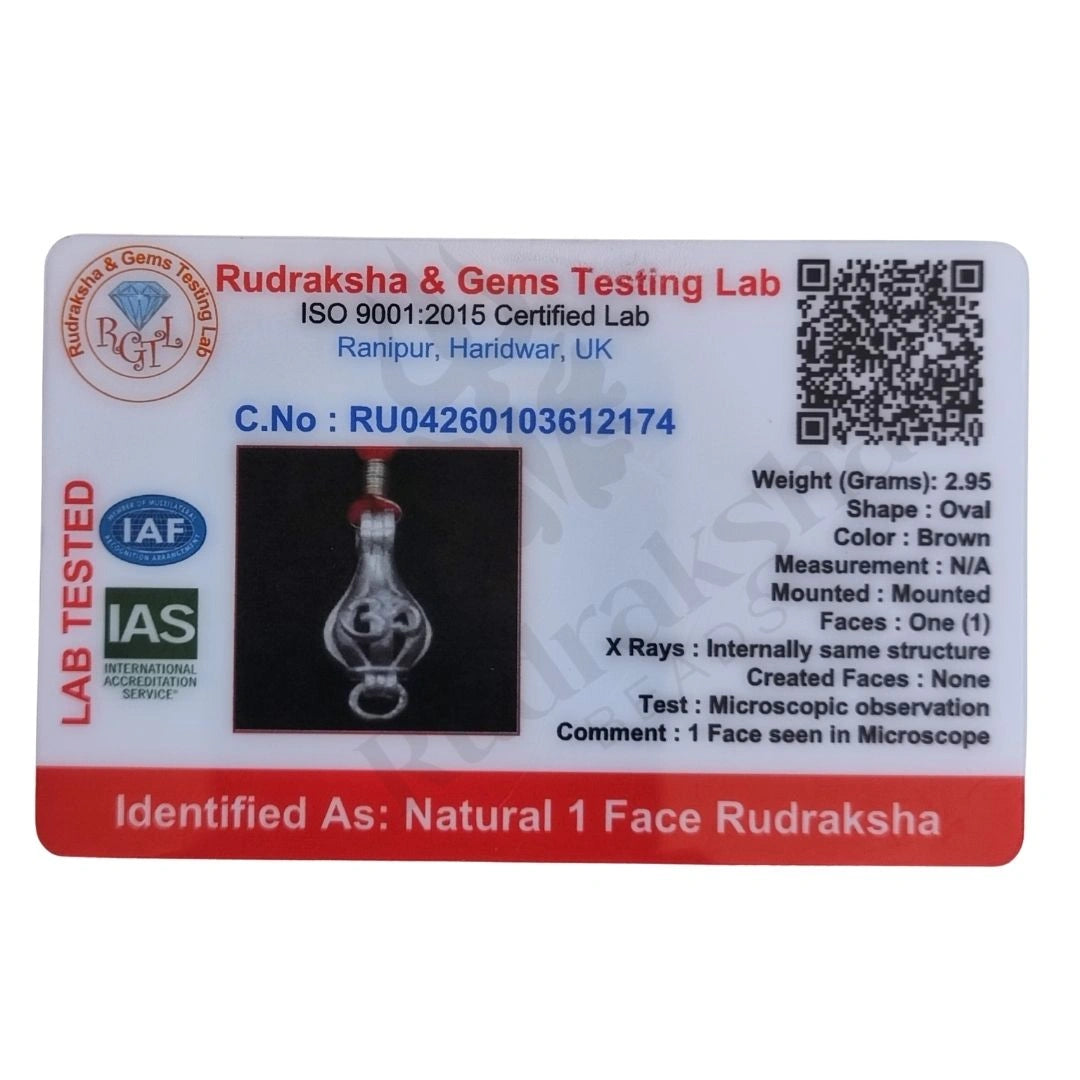 1 Mukhi Rudraksha (One-Faced Rudraksha) Indonesian