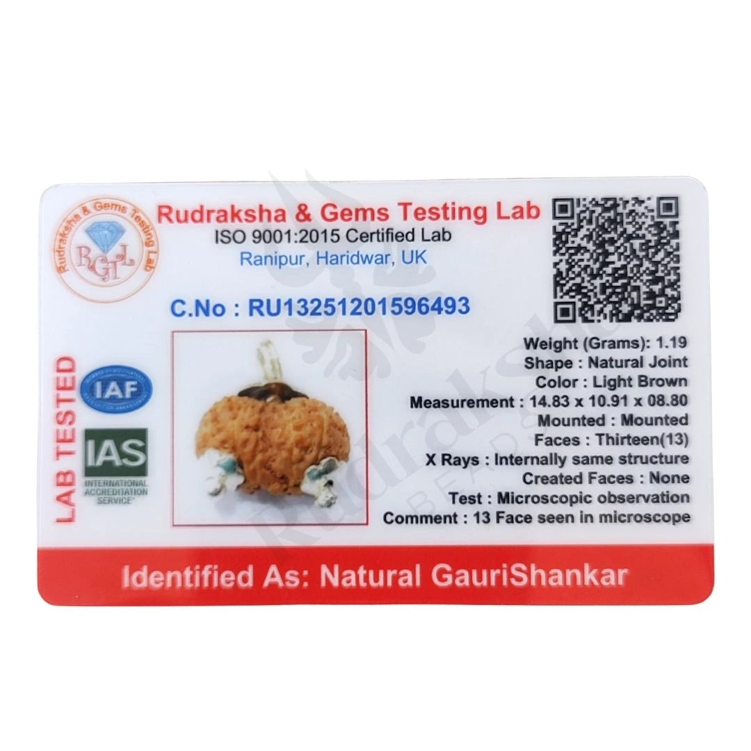 Gauri Shankar Rudraksha Indonesian