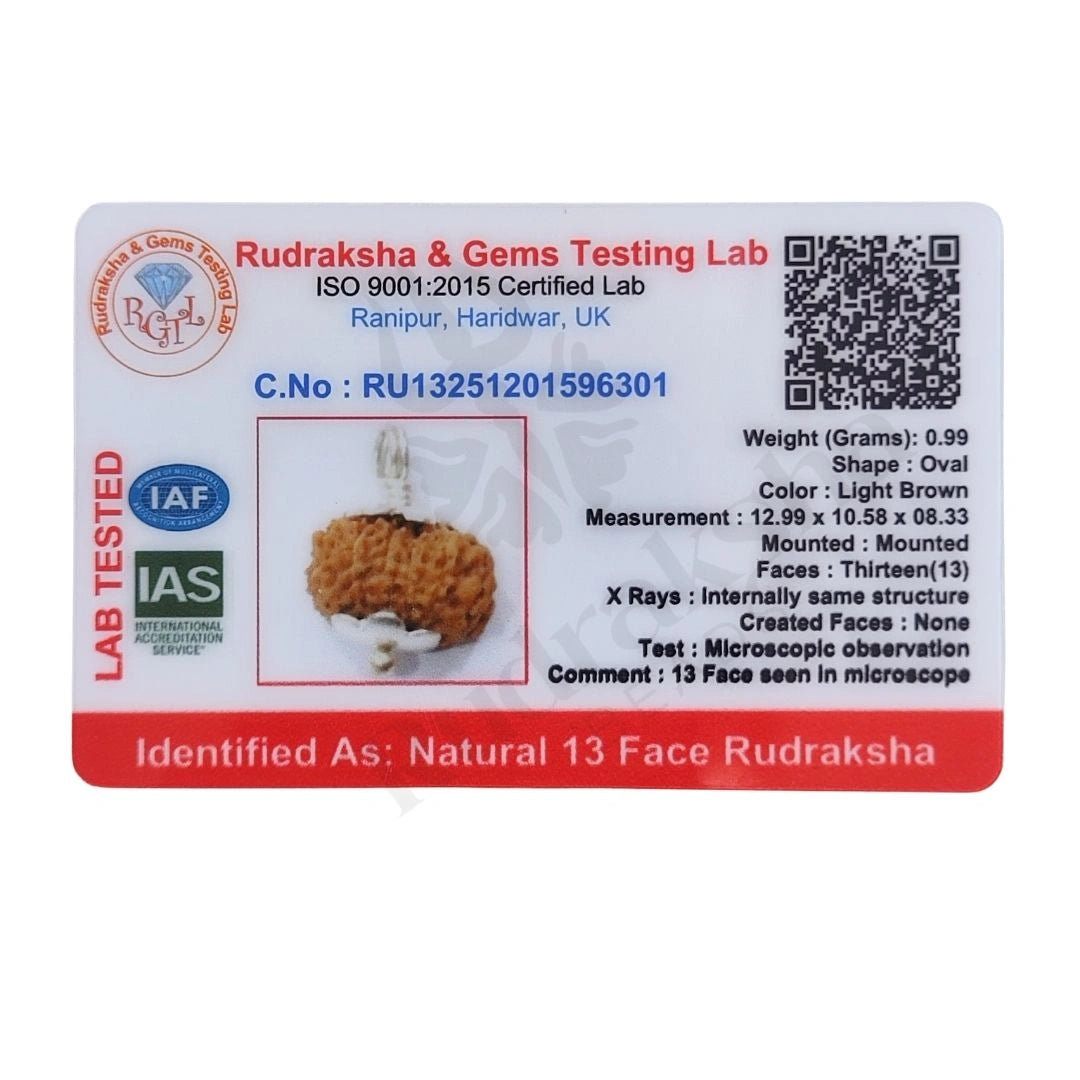 13 Mukhi Rudraksha (Thirteen-Faced Rudraksha)