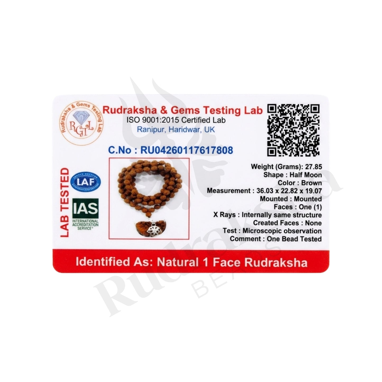 Fusion 1 Mukhi Rudraksha Mala (South Indian)