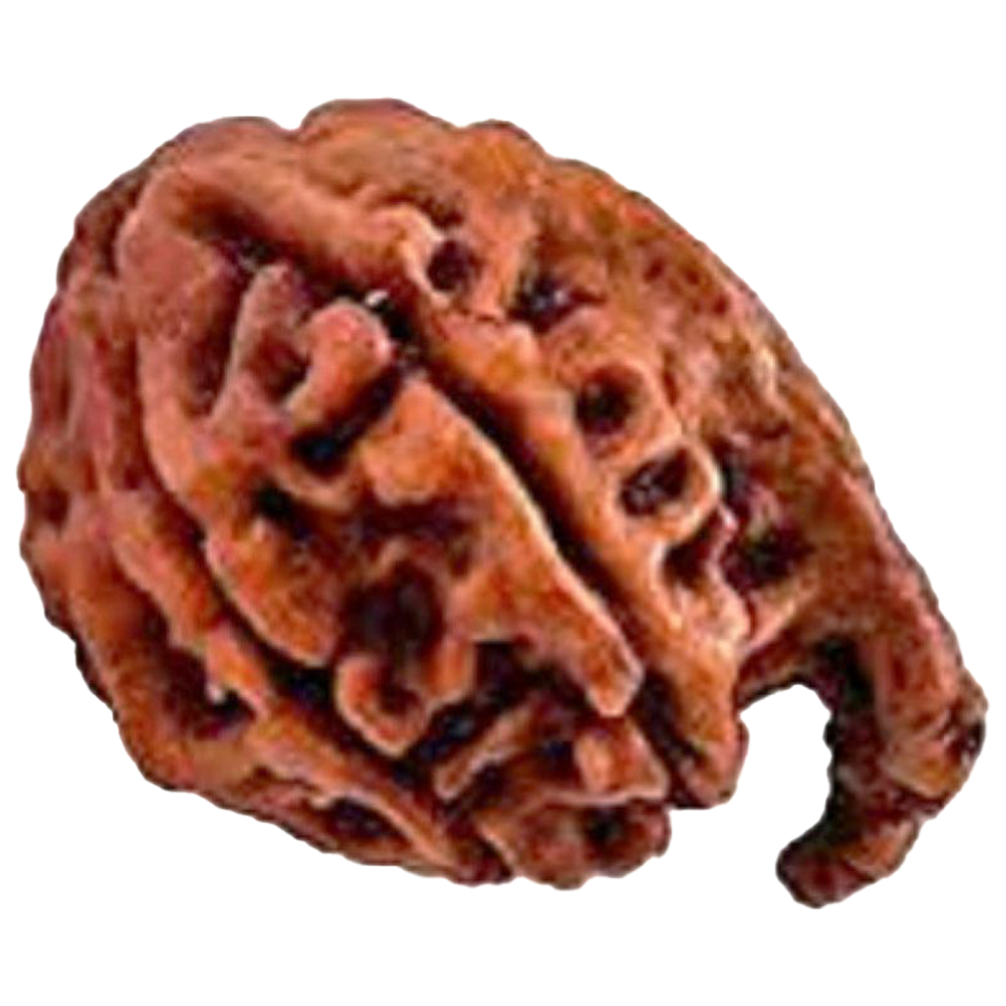Ganesh
