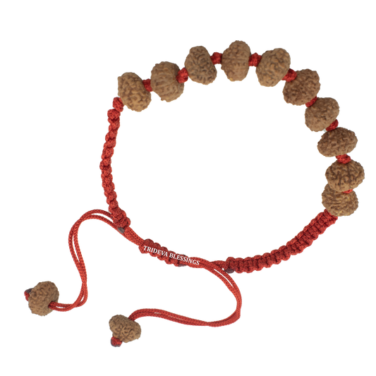 10 Mukhi Rudraksha Bracelet