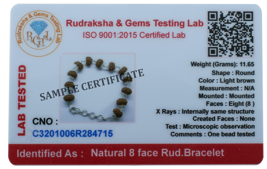 Natural 8 Face Rudraksha Bracelet