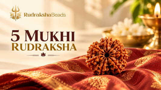 5 Mukhi Rudraksha: Meaning, Benefits, Wearing Method and Why It Is the Best First Rudraksha