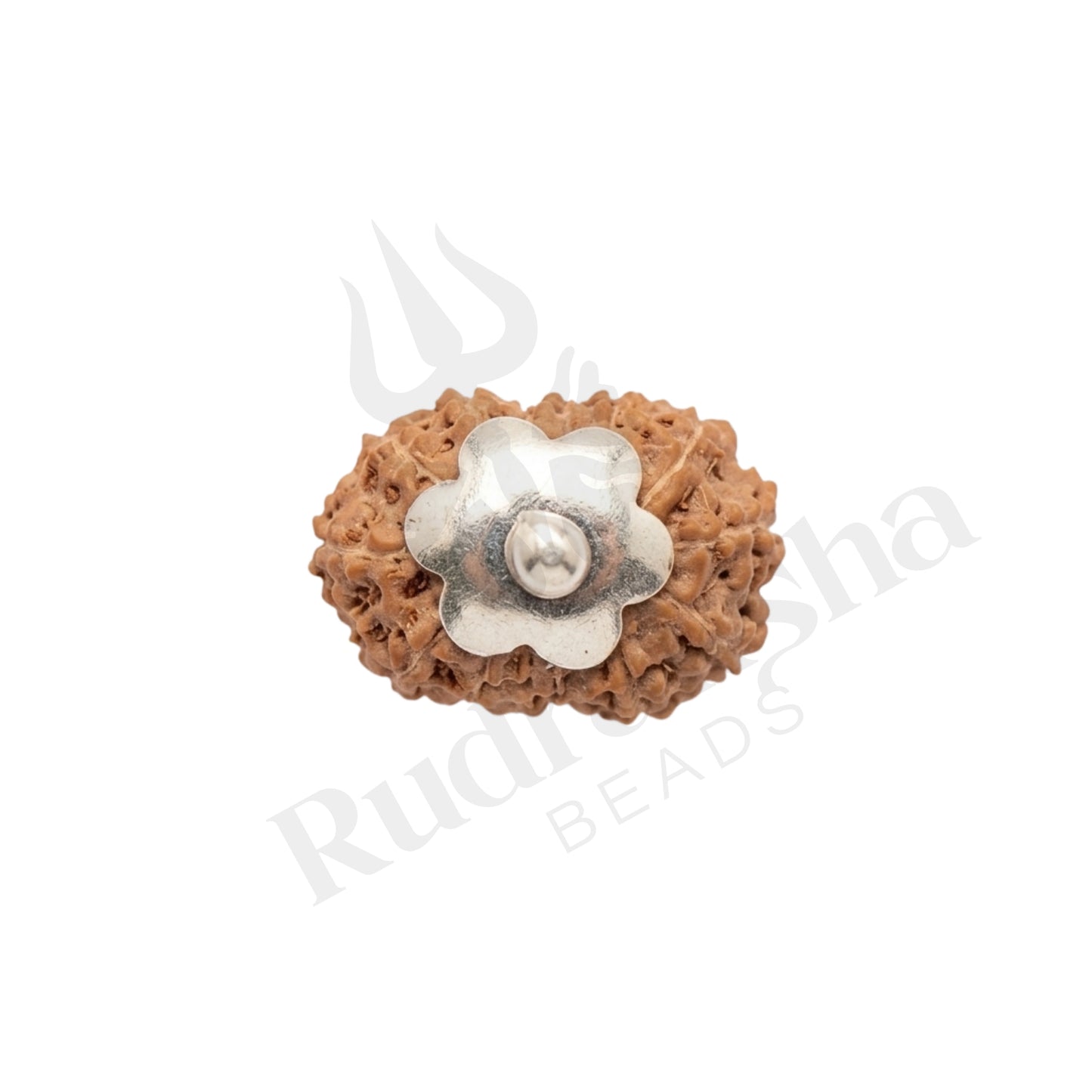 Insight 14 Mukhi Rudraksha Mala (Indonesia)