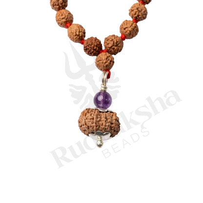 Insight 14 Mukhi Rudraksha Mala (Indonesia)