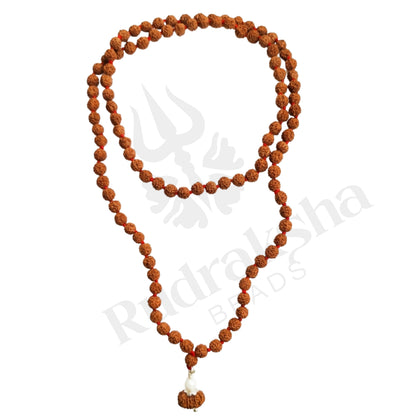 Charm 13 Mukhi Rudraksha Mala (Indonesia)