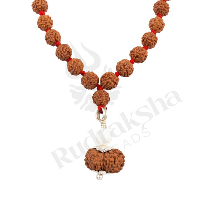 Charm 13 Mukhi Rudraksha Mala (Indonesia)