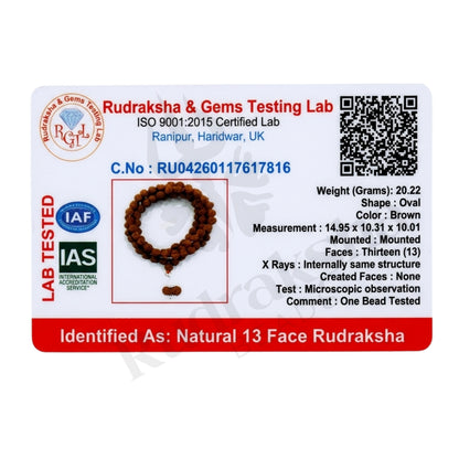 Charm 13 Mukhi Rudraksha Mala (Indonesia)