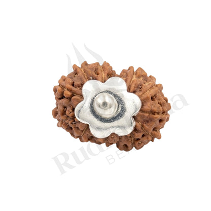 Charm 13 Mukhi Rudraksha Mala (Indonesia)
