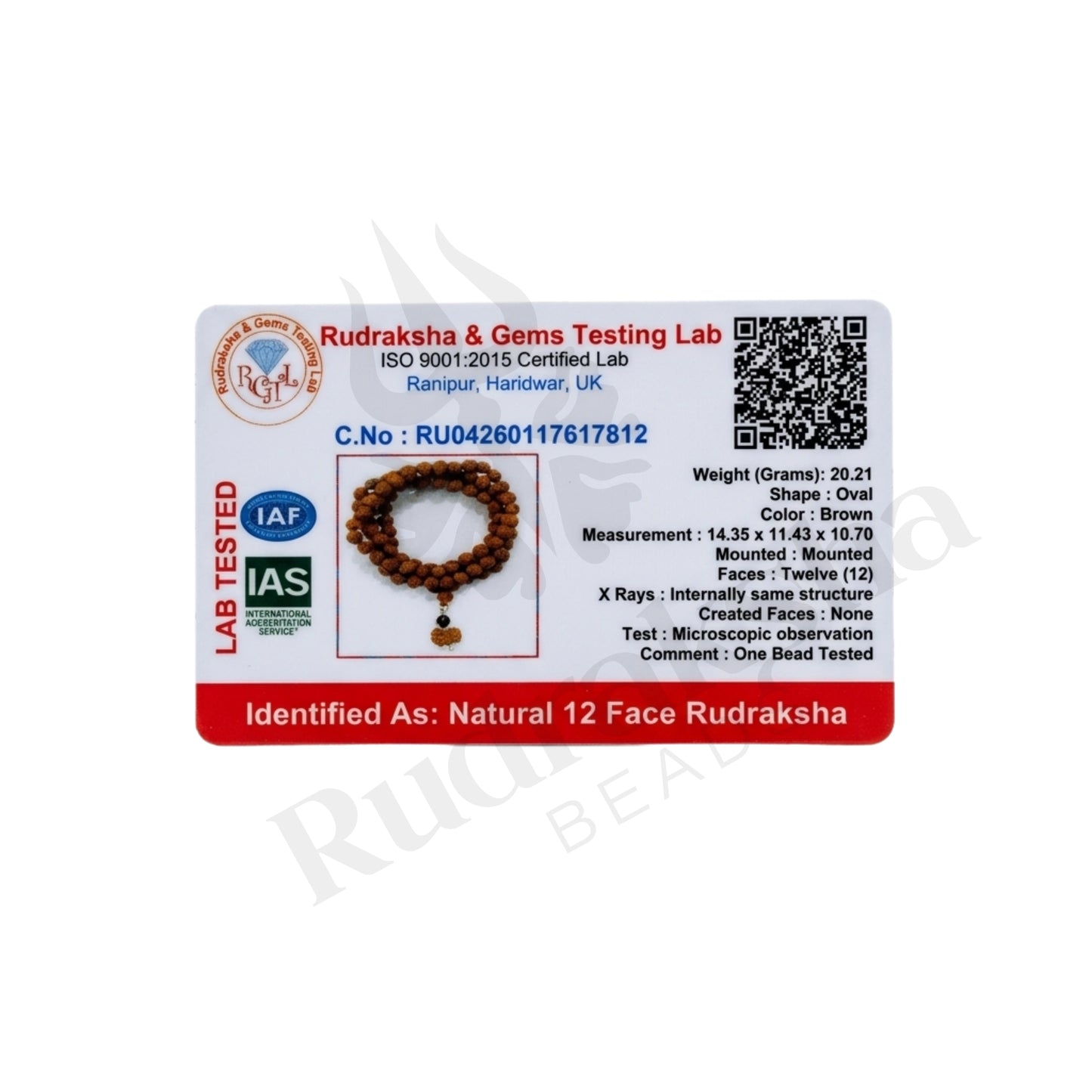 Radiance 12 Mukhi Rudraksha Mala (Indonesia)