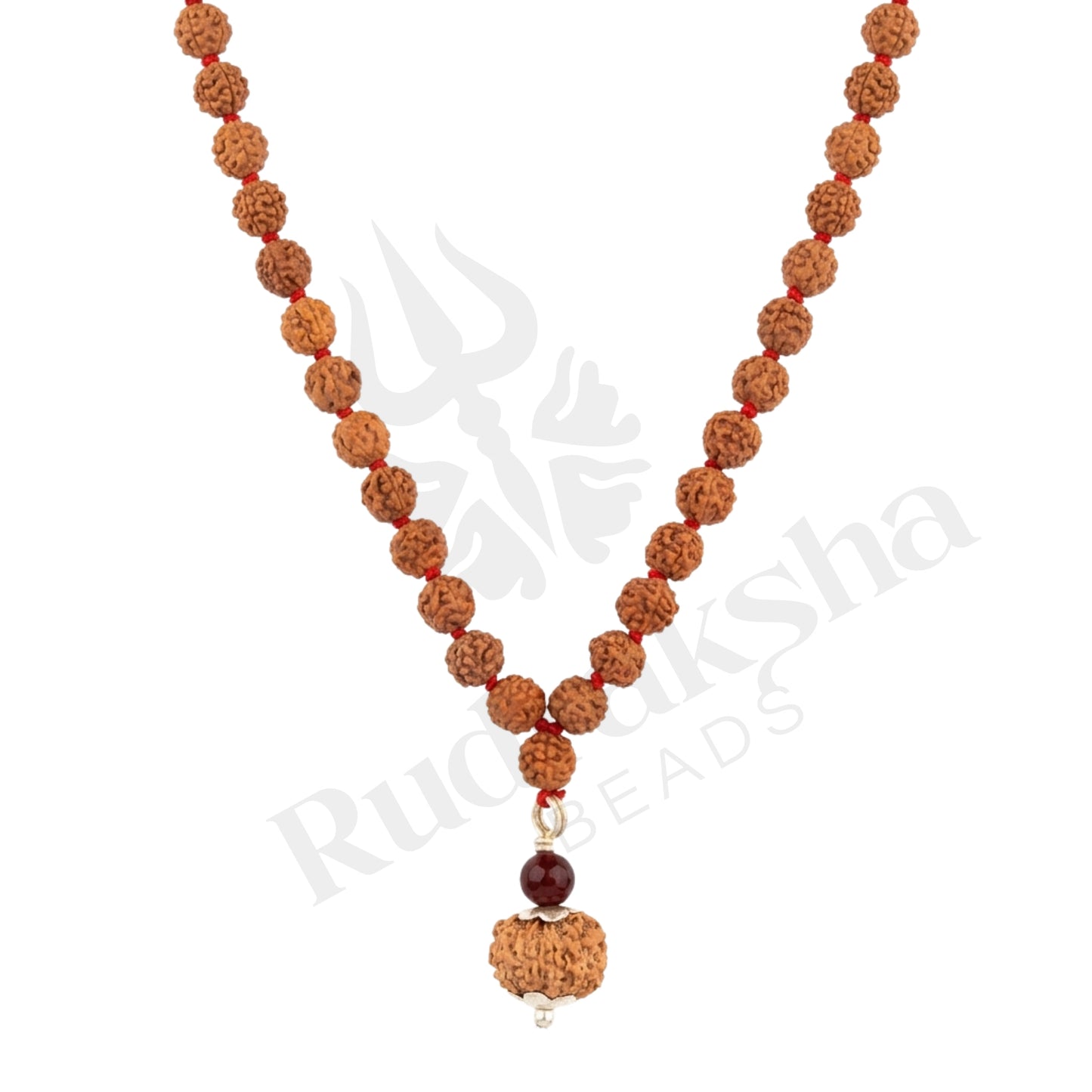 Radiance 12 Mukhi Rudraksha Mala (Indonesia)