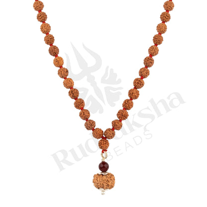 Radiance 12 Mukhi Rudraksha Mala (Indonesia)