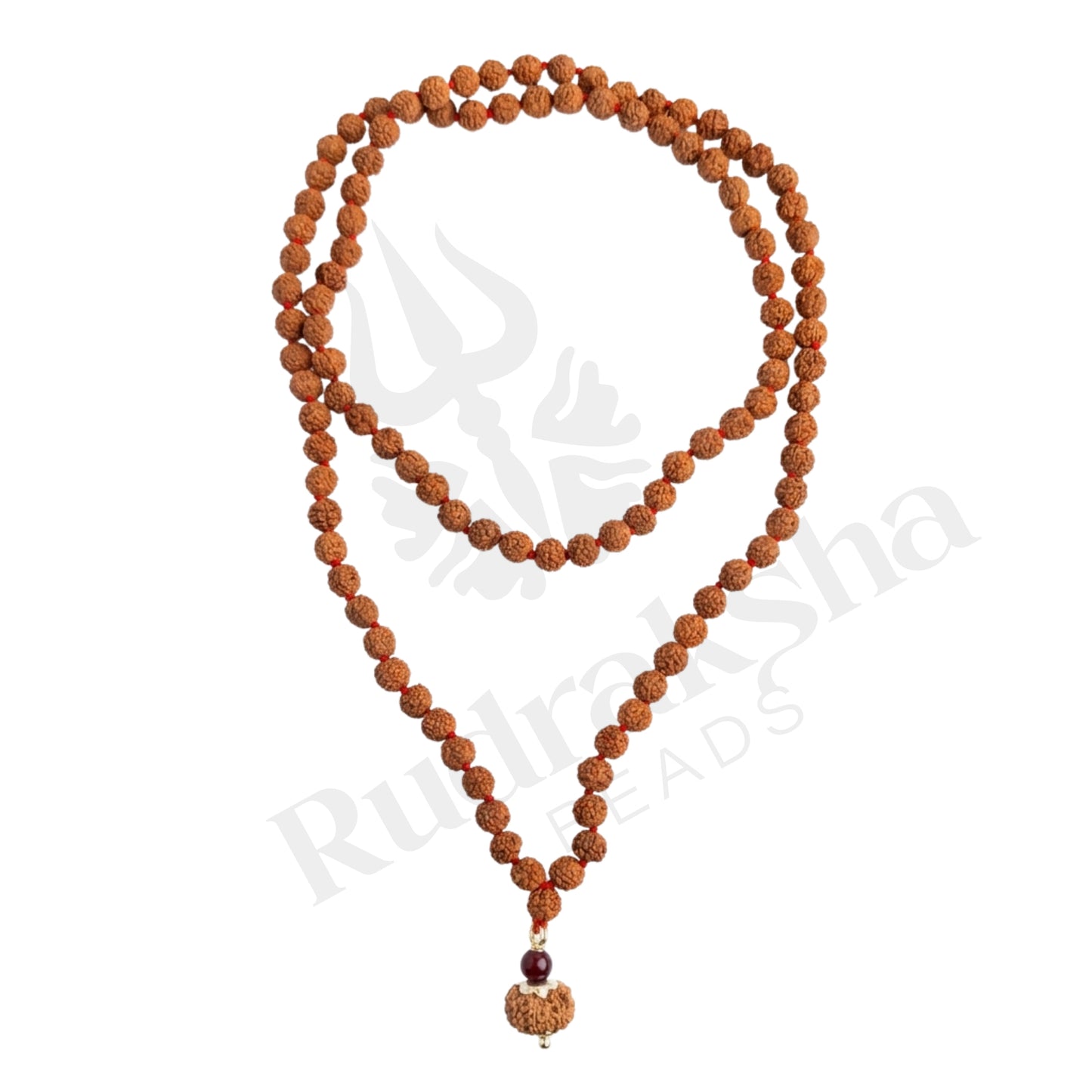 Radiance 12 Mukhi Rudraksha Mala (Indonesia)