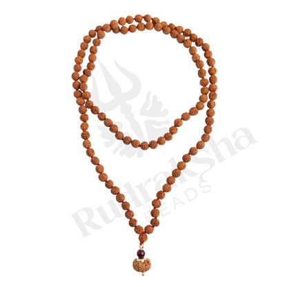 Radiance 12 Mukhi Rudraksha Mala (Indonesia)
