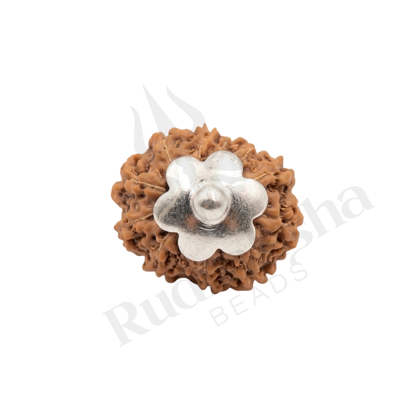 Radiance 12 Mukhi Rudraksha Mala (Indonesia)