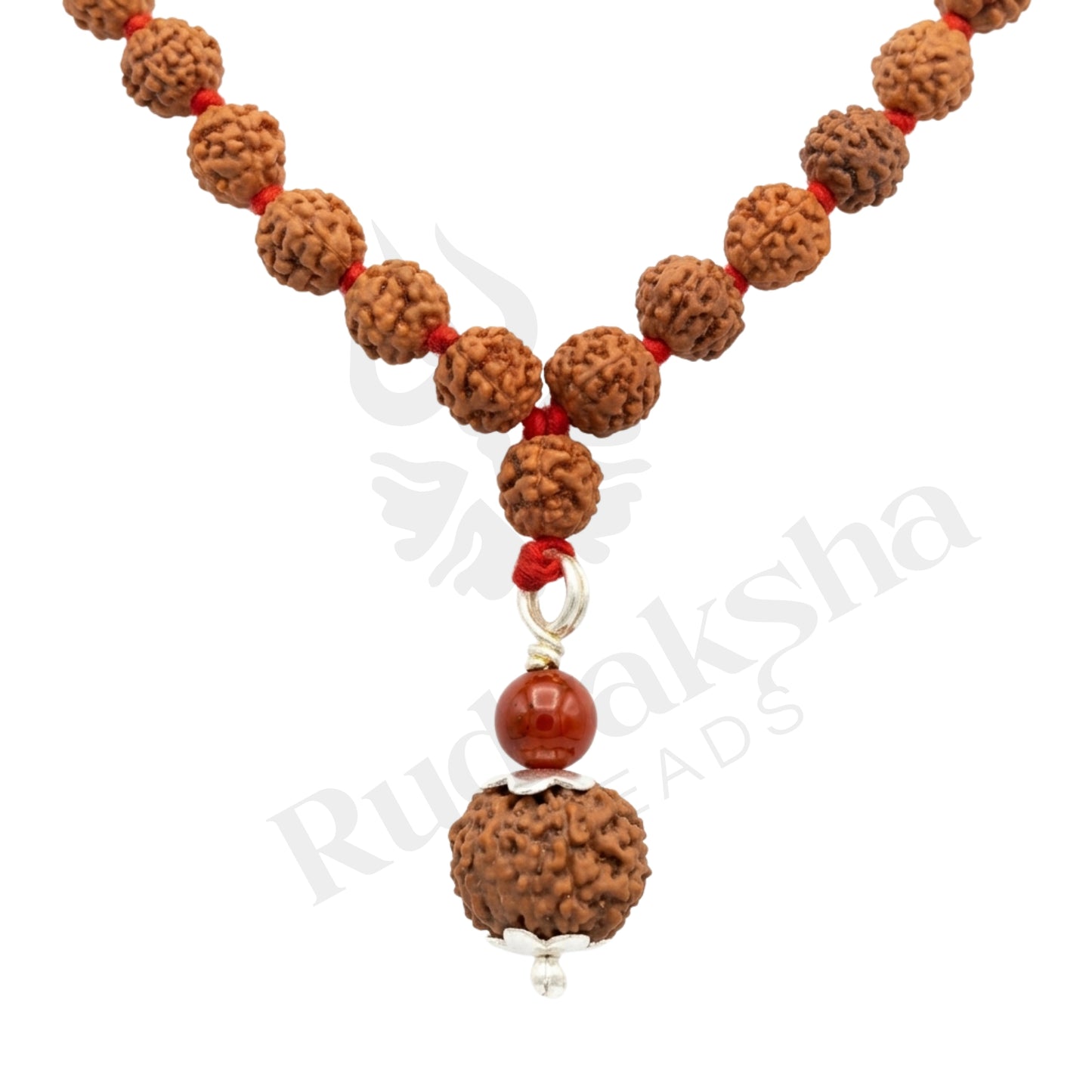 Valor 11 Mukhi Rudraksha Mala (Indonesia)