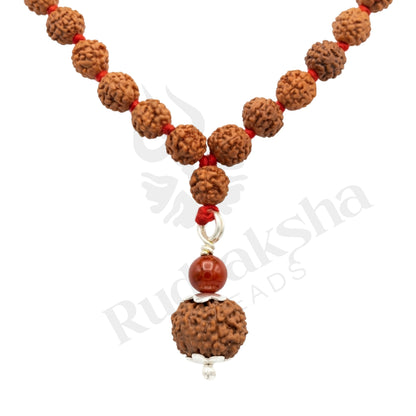 Valor 11 Mukhi Rudraksha Mala (Indonesia)