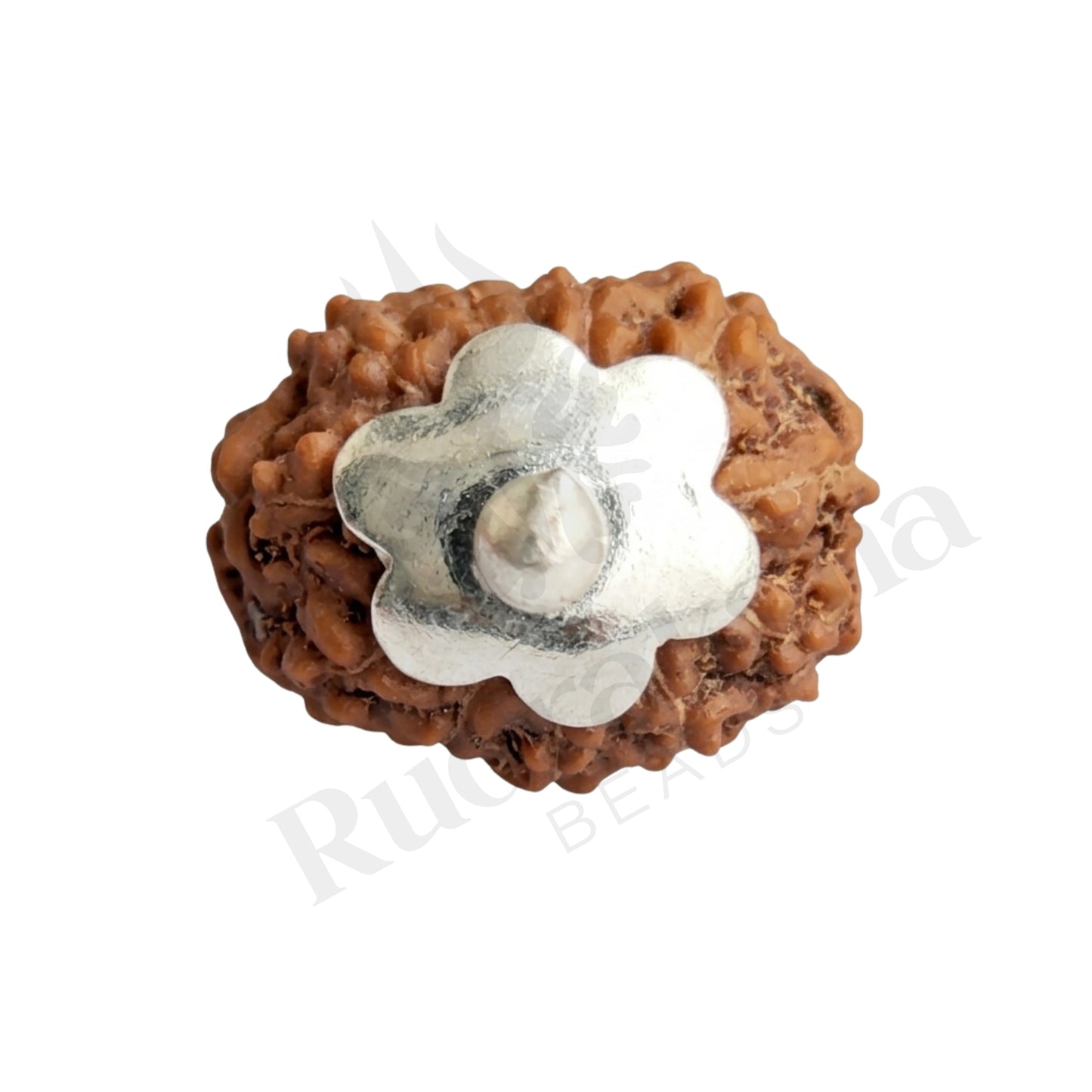 Valor 11 Mukhi Rudraksha Mala (Indonesia)