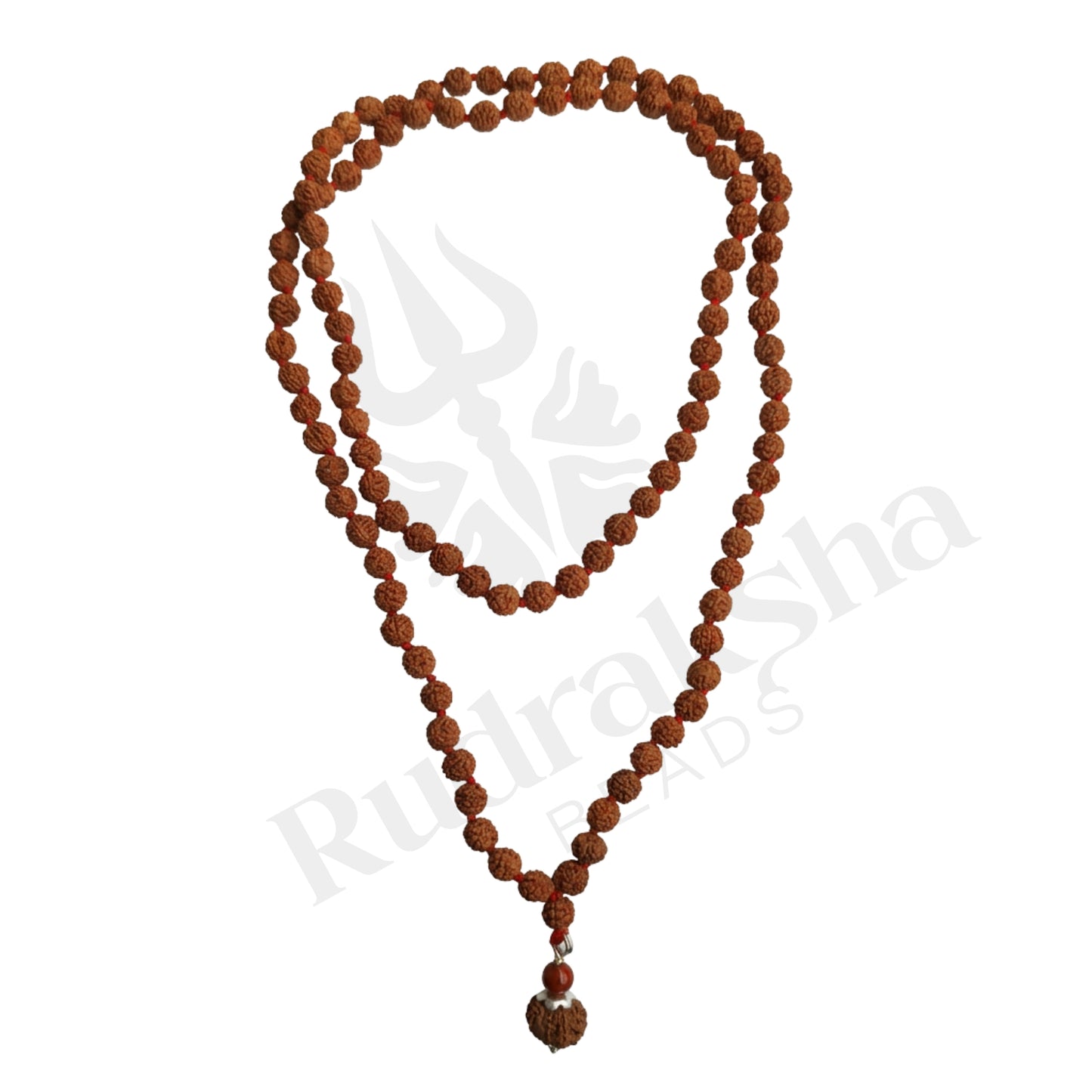 Valor 11 Mukhi Rudraksha Mala (Indonesia)