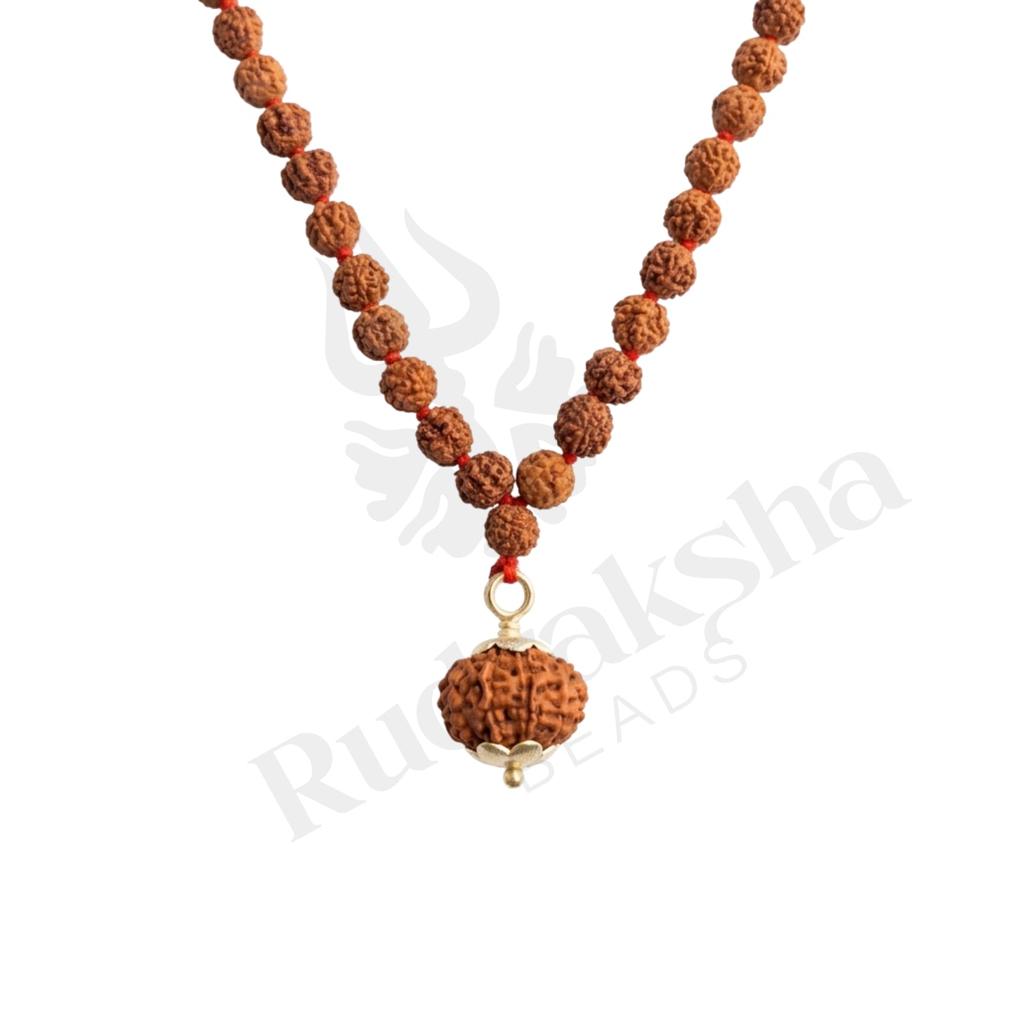 Guard 10 Mukhi Rudraksha Mala (Indonesia)