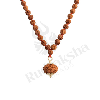 Guard 10 Mukhi Rudraksha Mala (Indonesia)