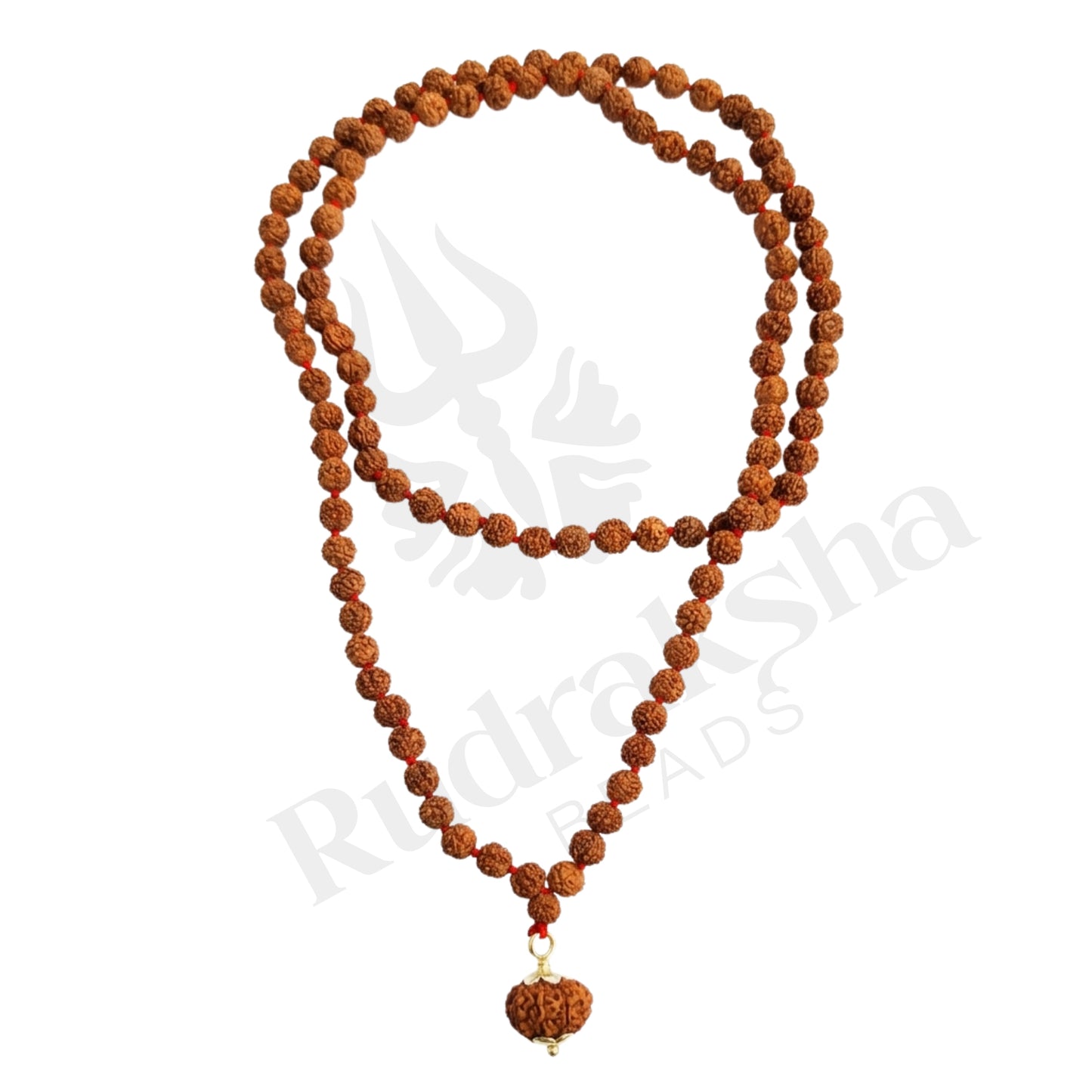 Guard 10 Mukhi Rudraksha Mala (Indonesia)