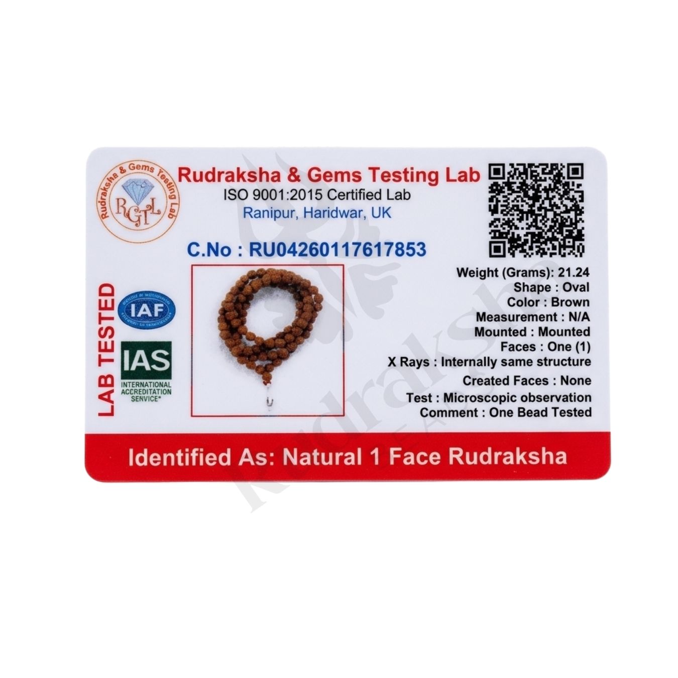 Prime 1 Mukhi Rudraksha Mala (Indonesia)