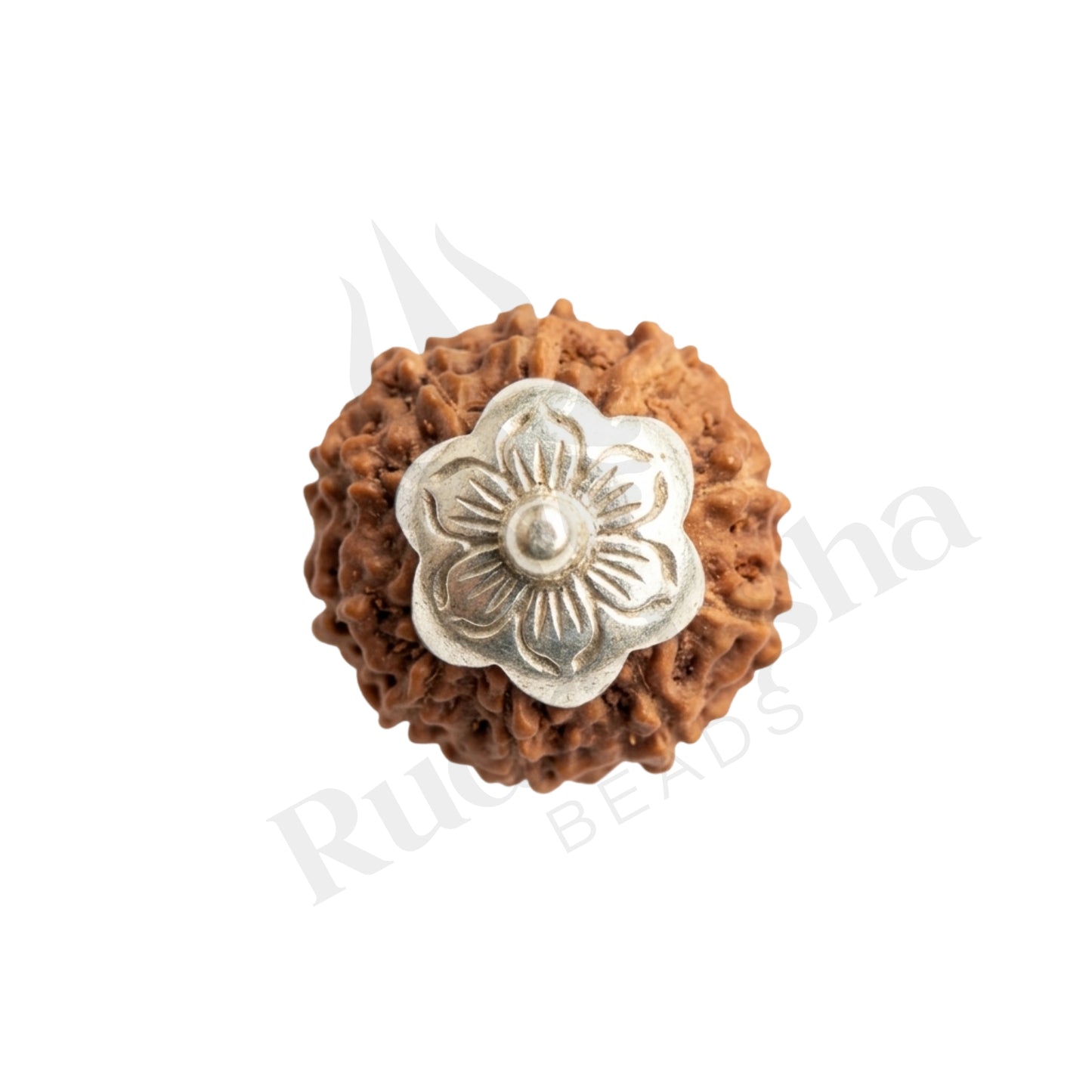 Guard 10 Mukhi Rudraksha Mala (Indonesia)