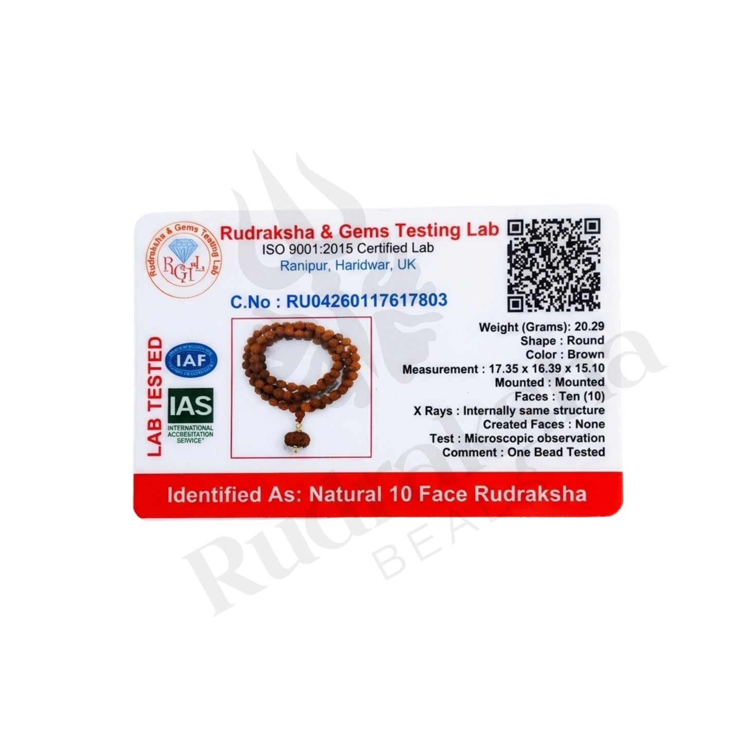 Guard 10 Mukhi Rudraksha Mala (Indonesia)