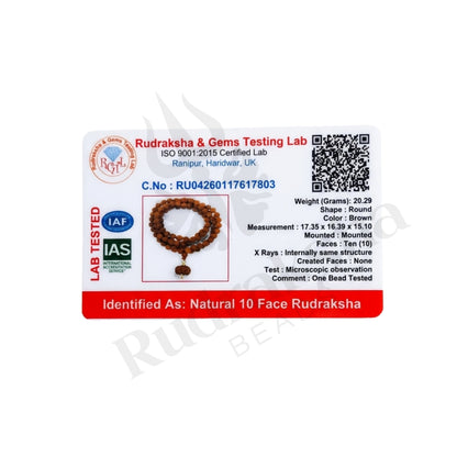 Guard 10 Mukhi Rudraksha Mala (Indonesia)