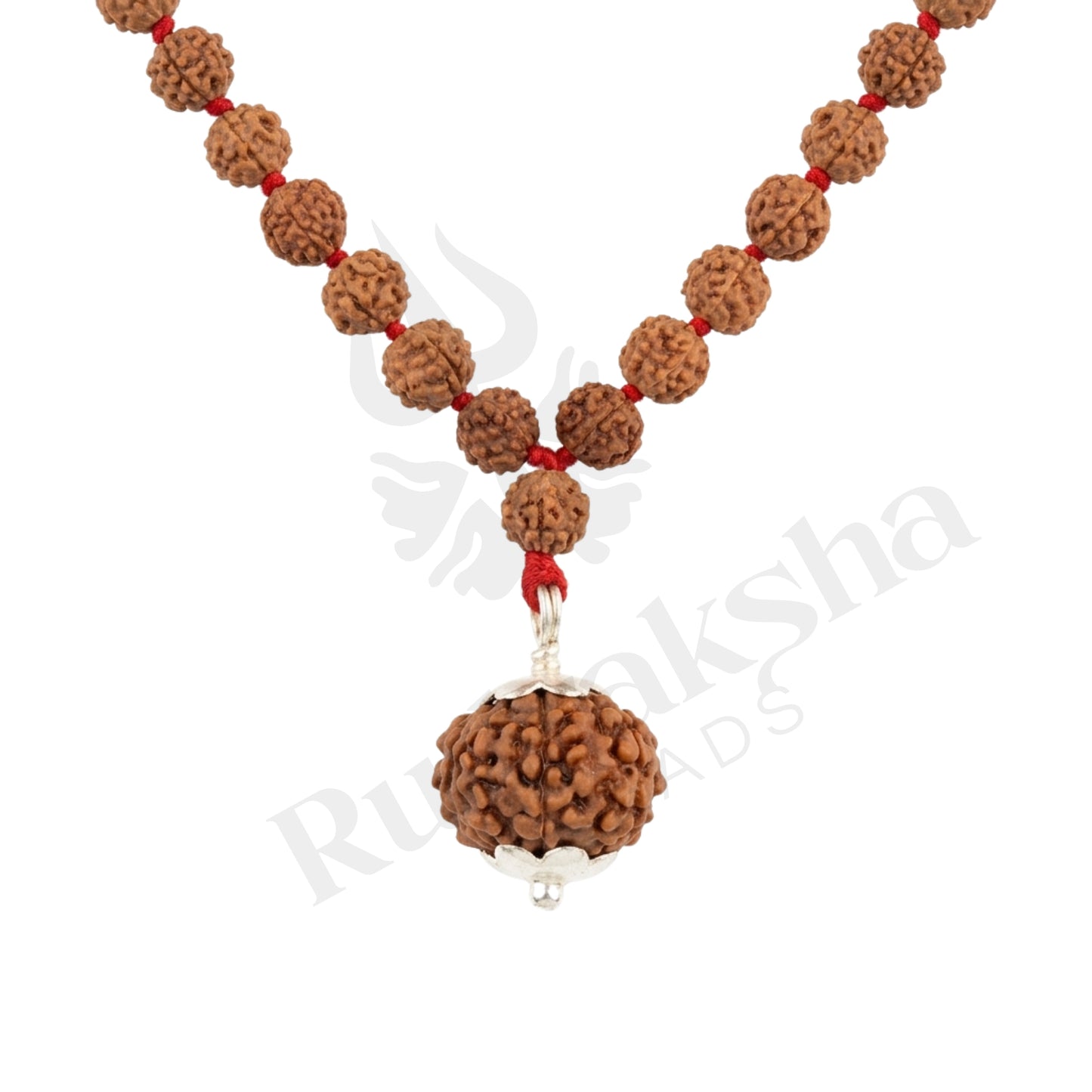 Success 8 Mukhi Rudraksha Mala (Indonesia)
