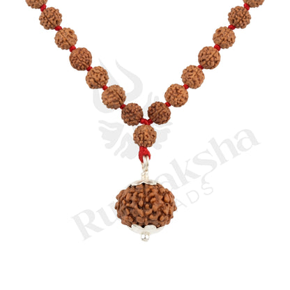Success 8 Mukhi Rudraksha Mala (Indonesia)