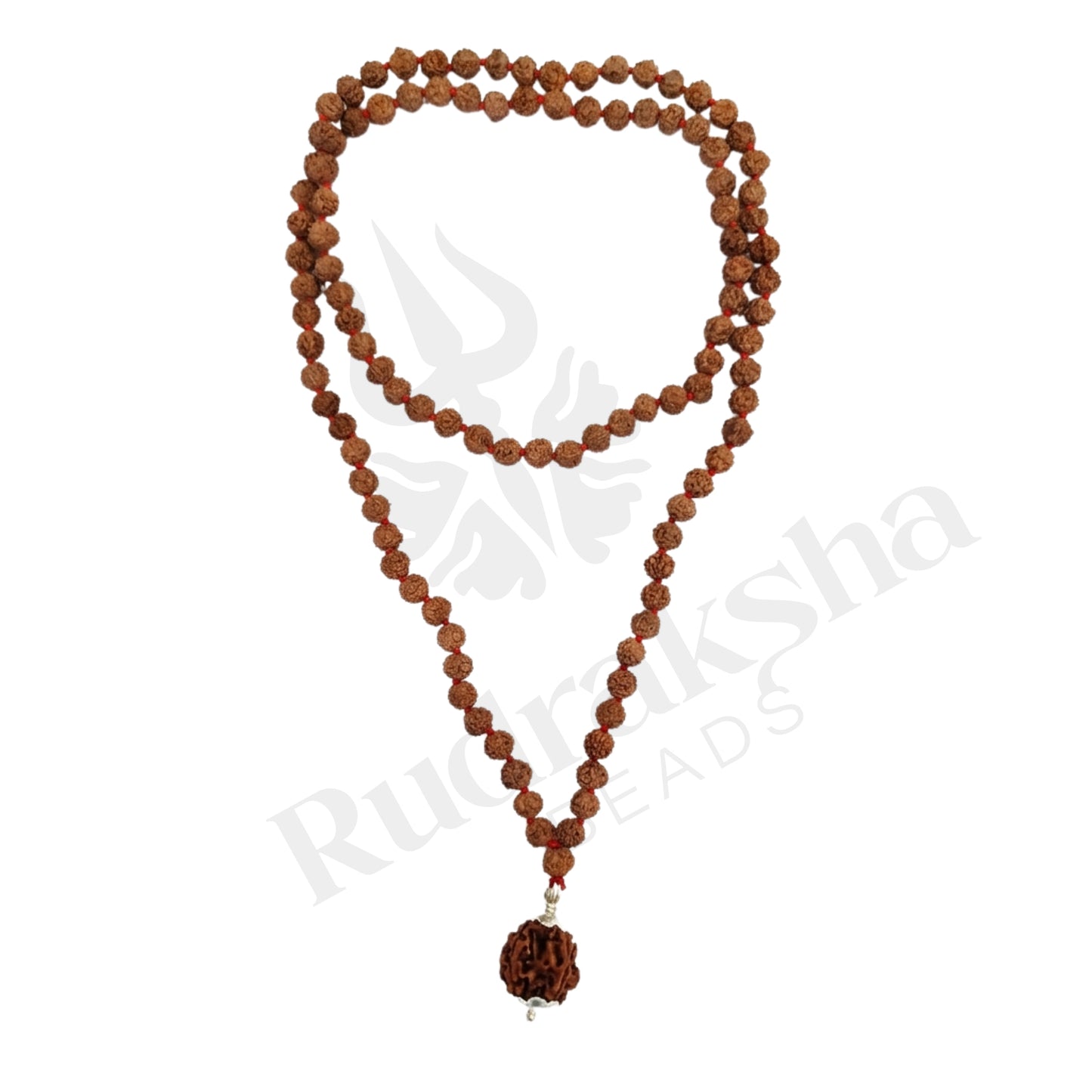 Success 8 Mukhi Rudraksha Mala (Indonesia)