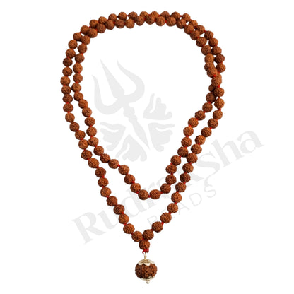 Prosper 7 Mukhi Rudraksha Mala (Indonesia)