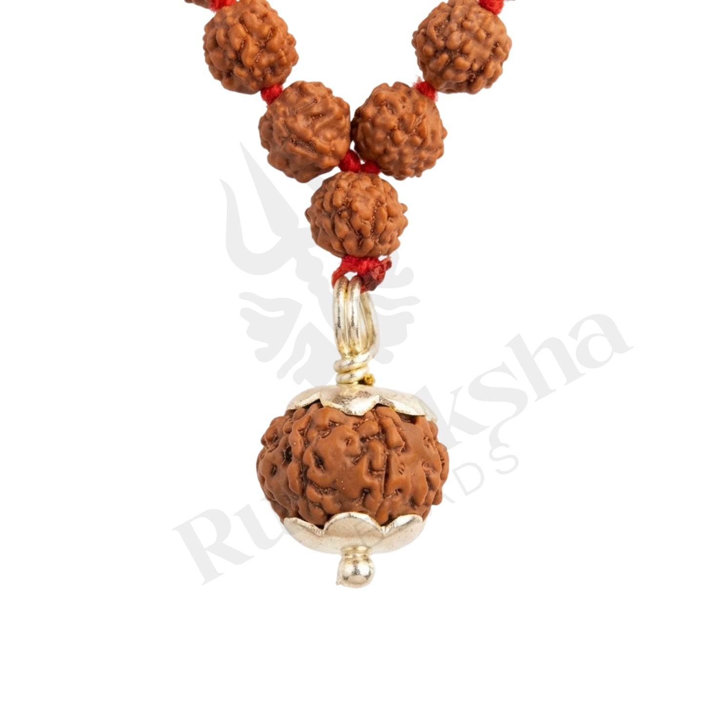 Prosper 7 Mukhi Rudraksha Mala (Indonesia)