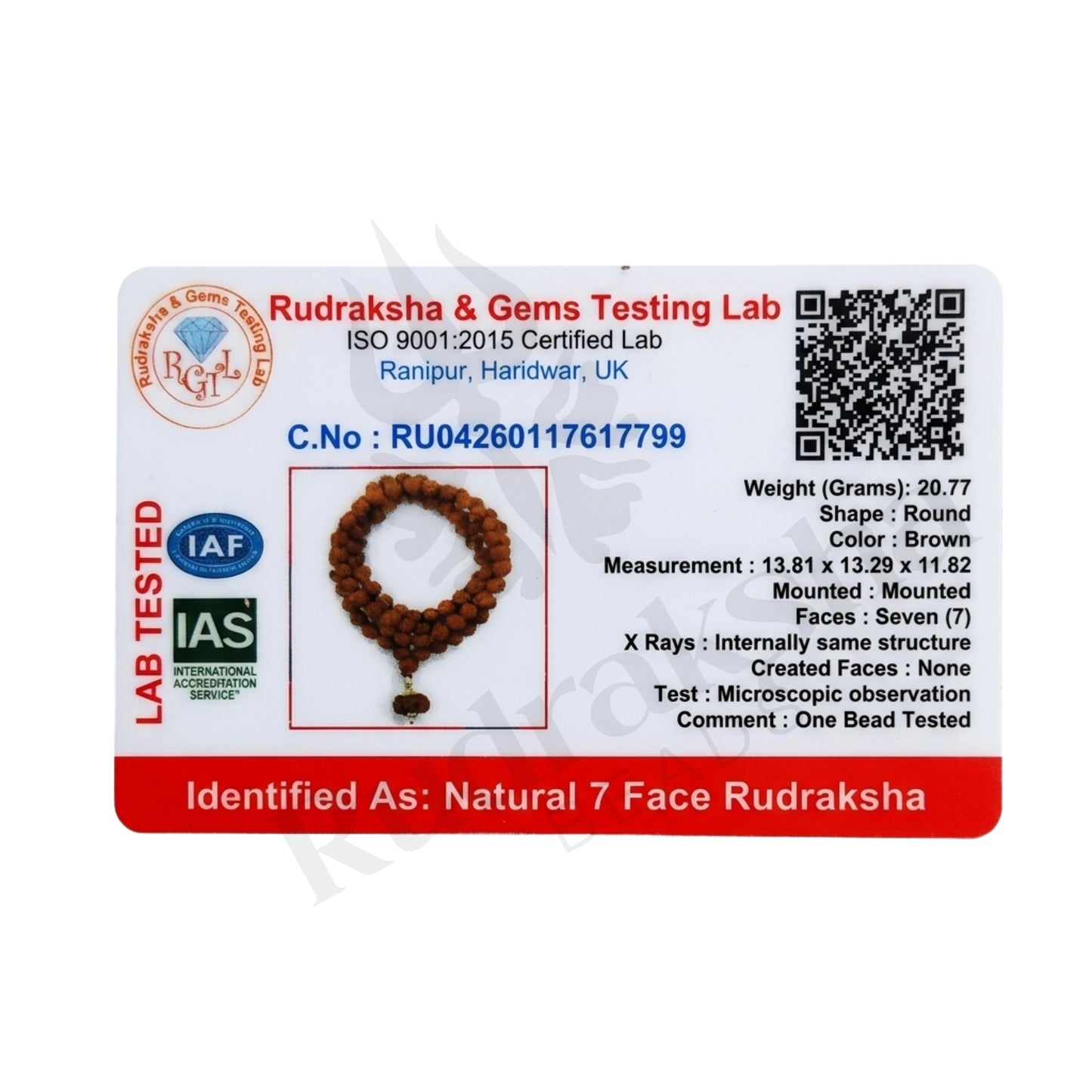 Prosper 7 Mukhi Rudraksha Mala (Indonesia)