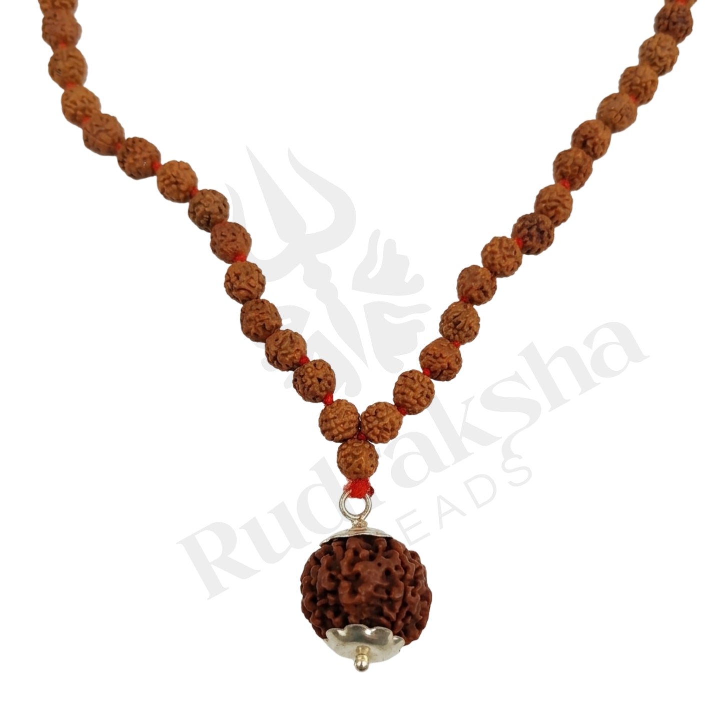 Focus 6 Mukhi Rudraksha Mala (Nepali)