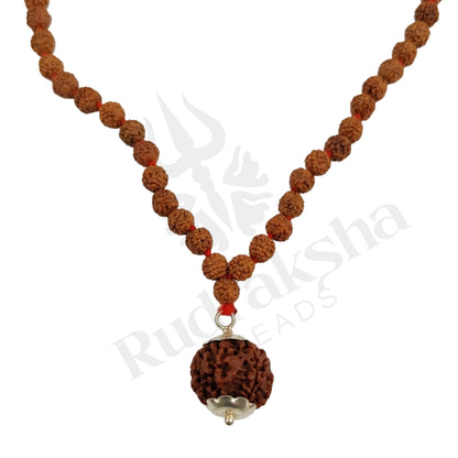 Focus 6 Mukhi Rudraksha Mala (Nepali)