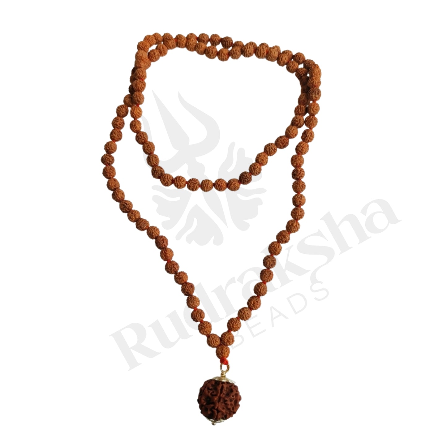 Focus 6 Mukhi Rudraksha Mala (Nepali)
